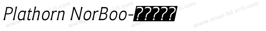 Plathorn NorBoo字体转换